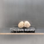 Nicolás Lamas, Litho-ergonomy, 2021