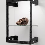 Nicolás Lamas, Posthuman portrait (Genesis), 2021