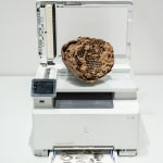 Nicolás Lamas, Nest, 2023
