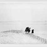 Micha Bar-Am, Paratroopers on Temple Mount, Jerusalem, 1967