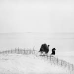 Micha Bar-Am, Paratroopers on Temple Mount, Jerusalem, 1967