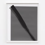 Phil Chang, Untitled (16% Gray Monochrome), 2014