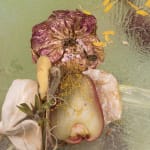 Michelle Bui, Bellflower petals, scented plastic bag, (...), 2023