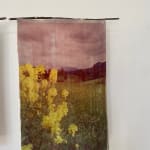 Malika Sqalli, The sun is not the enemy, 2025