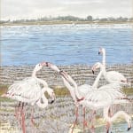 Carol Ogilvie, Set of Six Originals for the book: Flamingos