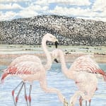 Carol Ogilvie, Set of Six Originals for the book: Flamingos