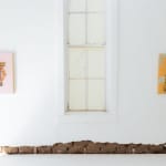 Ashley Swarts, What's a Girl to do?, 2013