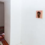 Ashley Swarts, What's a Girl to do?, 2013