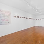 Mika Rottenberg, Untitled Ceiling Projection, 2023