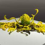 Slater Reid Sousley, Bale Twine Tangle, 2024