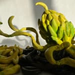 Slater Reid Sousley, Bale Twine Tangle, 2024
