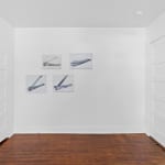 Patrick Quinn, Cat #6, 2023