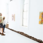 Ashley Swarts, What's a Girl to do?, 2013