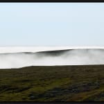 Ned Pratt, The Barrens in Spring, 2022