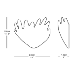 Size diagram