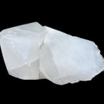 Jesse Visser, Pulse, 2025