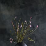Valeriya Isyak, Drop of Water, 2025