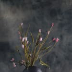 Valeriya Isyak, Drop of Water, 2025