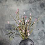Valeriya Isyak, Drop of Water, 2025