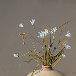 Valeriya Isyak, Drop of Water, 2025