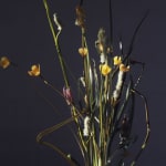 Valeriya Isyak, Drop of Water, 2025