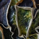 Femke van Gemert, Bloom Blossomed, 2019