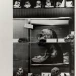 Ishiuchi Miyako, Suidobashi, 1982