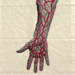 Juana Gomez, Hand Pattern, Santiago, Chile, 2019