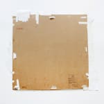 Peter Beard, Peter Beard Limited Art Edition Book, 2006