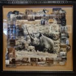 Peter Beard, Peter Beard Limited Art Edition Book, 2006