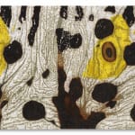 DOUGLAS MELINI, Fantastic Consciousness, 2025