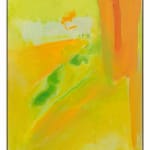ESTEBAN VICENTE, Experience, 1998