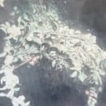 嚴友亨, 《點 點點》 Dots, Many Dots, 2024