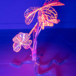 安德利亞・梅達爾, 《日光室．永恆花園》 Solarium. The Forever Garden, 2022