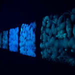 安德利亞・梅達爾, 《流動神殿》 The Fuid Temple , 2022