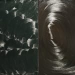 大卷伸嗣, 《迴響 水晶計畫》 Echoes Crystallization, 2010