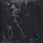 大卷伸嗣, 《肖像》 Portrait , 1995