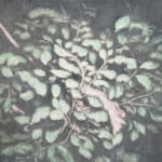 嚴友亨, 《點 點點》 Dots, Many Dots, 2024