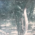 嚴友亨, 《點 點點》 Dots, Many Dots, 2024