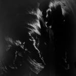 大卷伸嗣, 《肖像》 Portrait , 1995