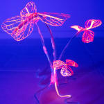 安德利亞・梅達爾, 《日光室．永恆花園》 Solarium. The Forever Garden, 2022