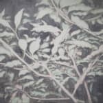 嚴友亨, 《點 點點》 Dots, Many Dots, 2024
