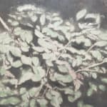 嚴友亨, 《點 點點》 Dots, Many Dots, 2024