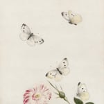 Nicolaas Struyck (1686-1769) Hedgerow rose with butterflies
