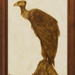 Willem van den Berg, Condor