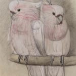 Theo van Hoytema, Two Cocketoos