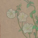 Sigisbert Chrétien Bosch Reitz, Morning Glory