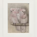 Theo van Hoytema, Two Cocketoos