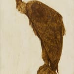 Willem van den Berg, Condor