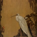 Willem van den Berg, reiger, Silver Heron